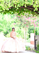 Quince Shoot