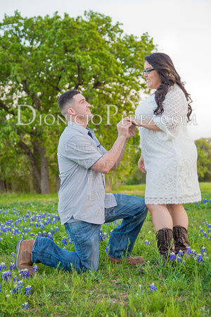 ClaudiaEngagement-1260